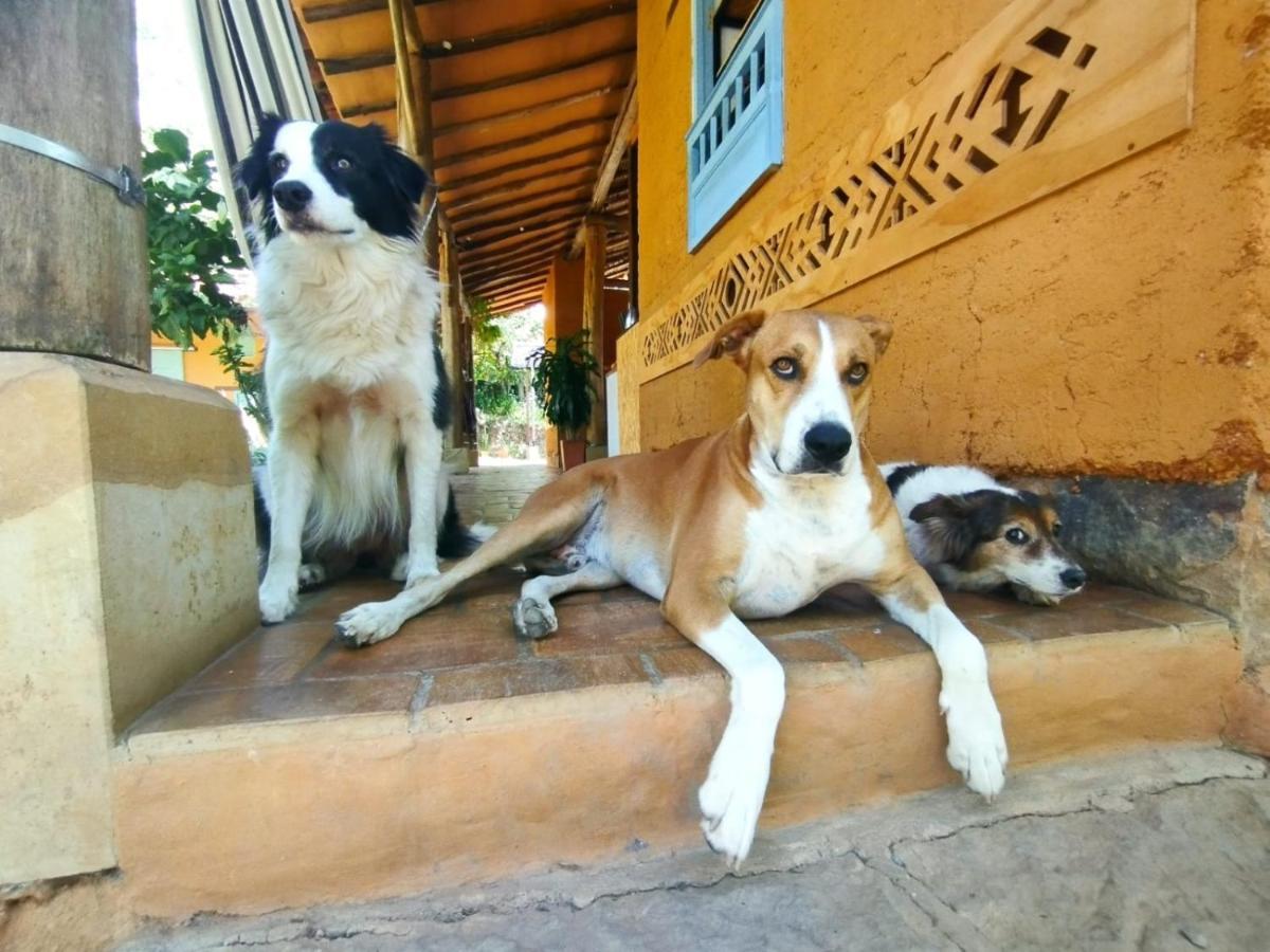 Nomad Hostal - Barichara Exterior photo